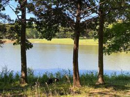 1019 Port Perry Dr