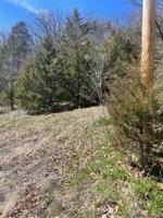 43 Pin Oak Drive