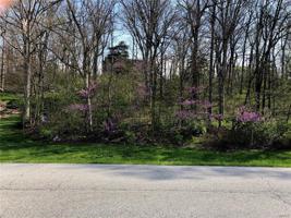 0 Lot 630 Village Drive