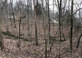 117 Skyline Drive