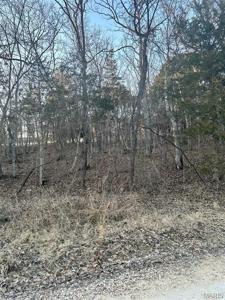 121 Briarwood Terrace