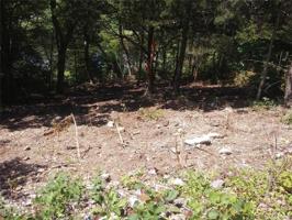 5629 Forest (waterfront) Drive