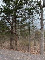 13 E Forest Lane
