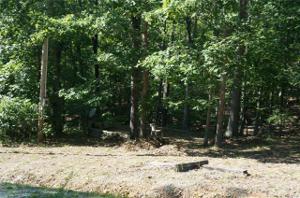 5124 Dipper Lane