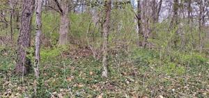 0 Lot 561 Village Drive W