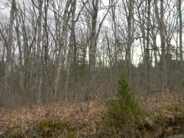 0 Renegade Blk 2, Lot 55 Trail