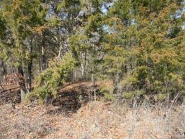 0 Sky Line Drive - Blk 1, Lot 12