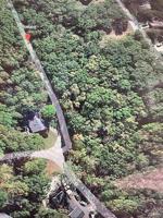 209 Bluebird Lane