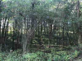 5716 & 5720 Treebrook Drive