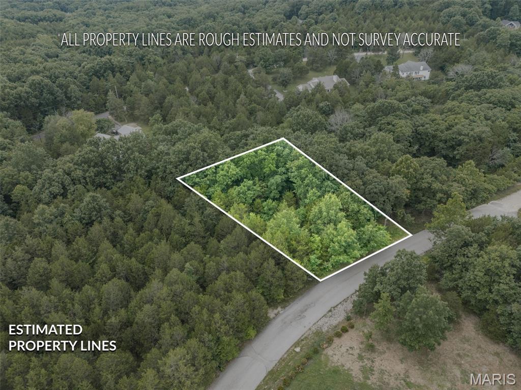 Image 1 Image 1