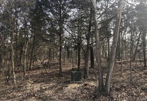 0 Lot 55 East Vista