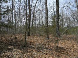 0 Cypress Leaf - Blk 4, Lot 61