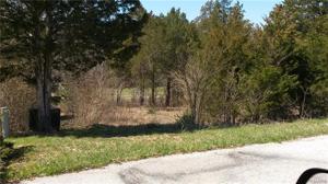 141 Cottonblossom Drive