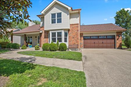 6 Laurel Oaks
