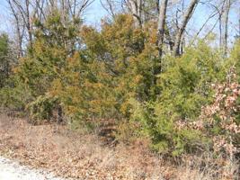 0 Sky Line Drive - Blk 1, Lot 12