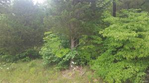50 Lot East Vista Drive