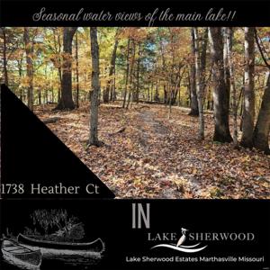 1738 Heather