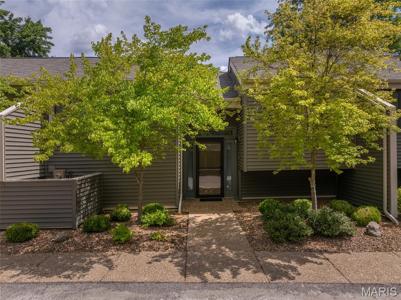 15 Lionshead Ridge