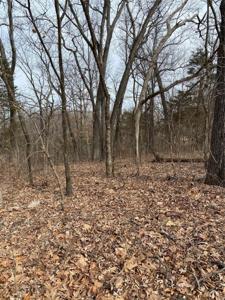 0 Blue Ridge Trl Sec 14 Lot 170