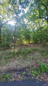 lot 14 Forest