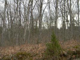 0 Renegade Blk 2, Lot 55 Trail
