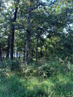0 Woodson Drive