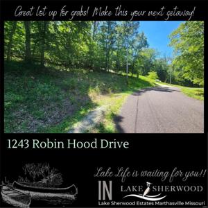1243 Robin Hood
