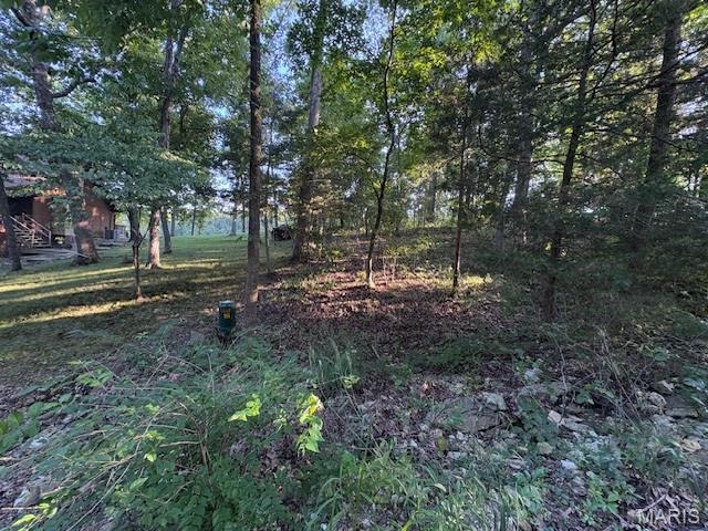 Image 1 Image 1