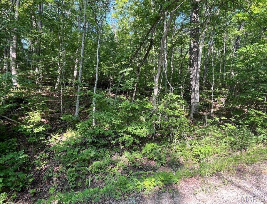 Image 3 Image 3