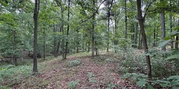 Image 3 Image 3