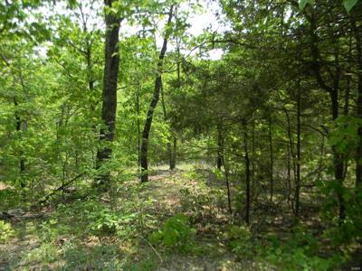 0 W Skyline, Lot 414