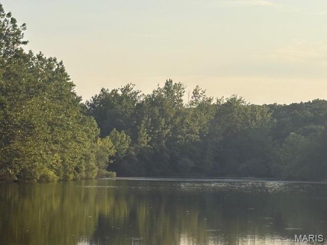 Image 4 Image 4