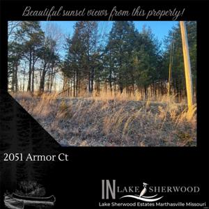 2051 Armor