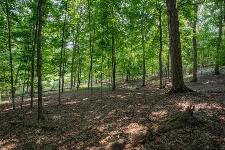 2468 Alpine Cove