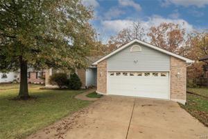 10884 Mulberry