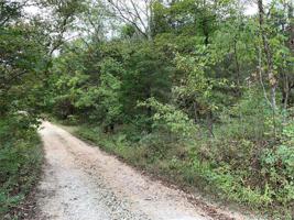 6123 Shenandoah Drive