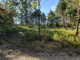 9487 Bent Tree Dr.