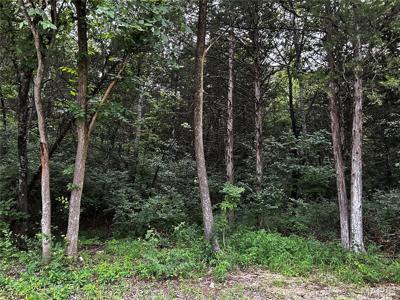 237 Incline Village (Red Cedar)