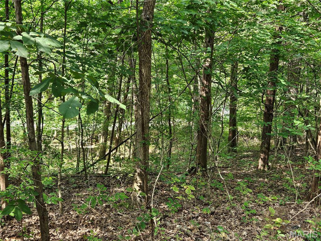 Image 4 Image 4