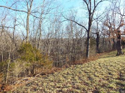475 Incline Village Dr.