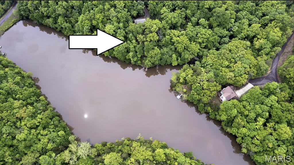 Image 1 Image 1