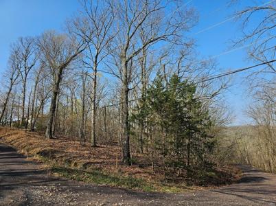 1081 Forest