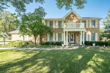 6 Scarlet Oak