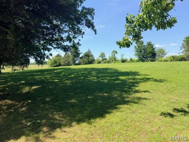 Image 1 Image 1