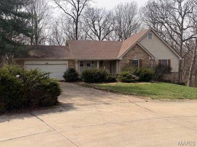 12 Scarlet Oak