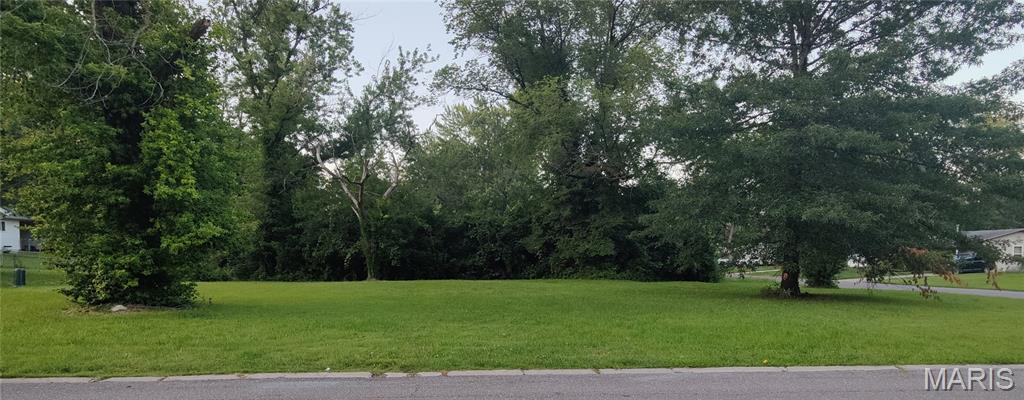Image 1 Image 1