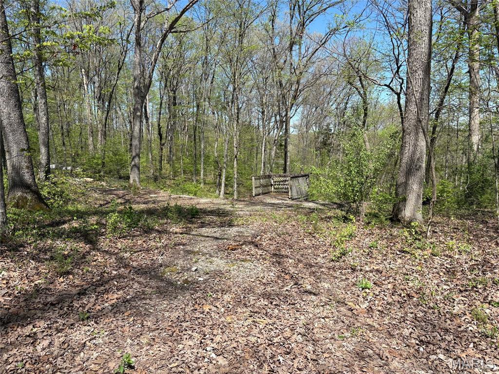 Image 1 Image 1