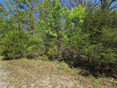 2402 Sanchez