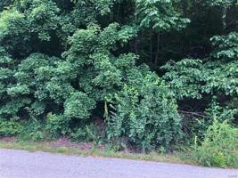 0 Lot 563 Village Drive W