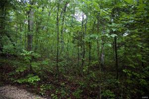 16 Sycamore Trail